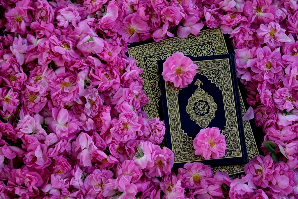 amirhadi-manavi-mxA4sfRxauw-unsplash